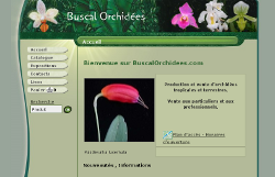 Buscal Orchidées
